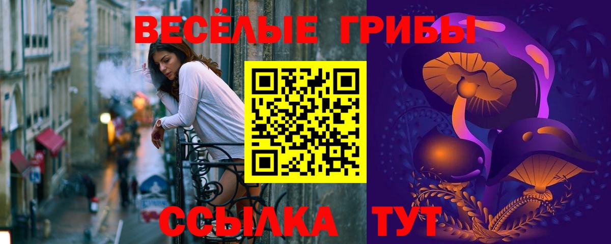 Псилоцибиновые грибы Cubensis  Вход с VPN  Гуково 